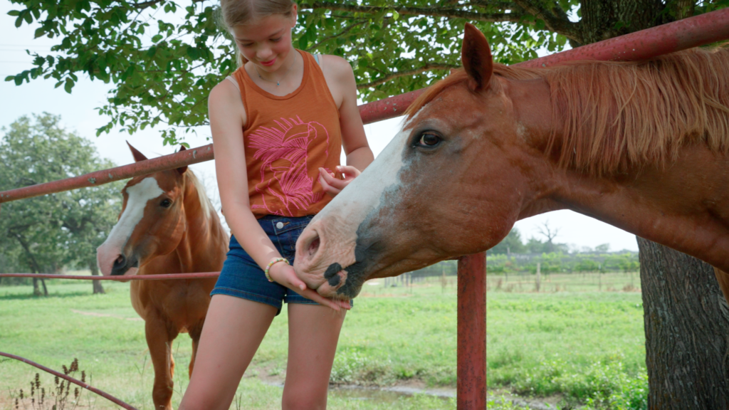 Feeding the ranch horses