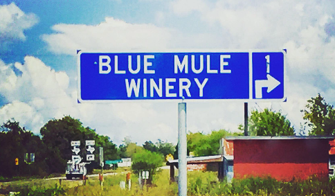 Smithville local events - Sign for Blue Mule Winery, Fayetteville